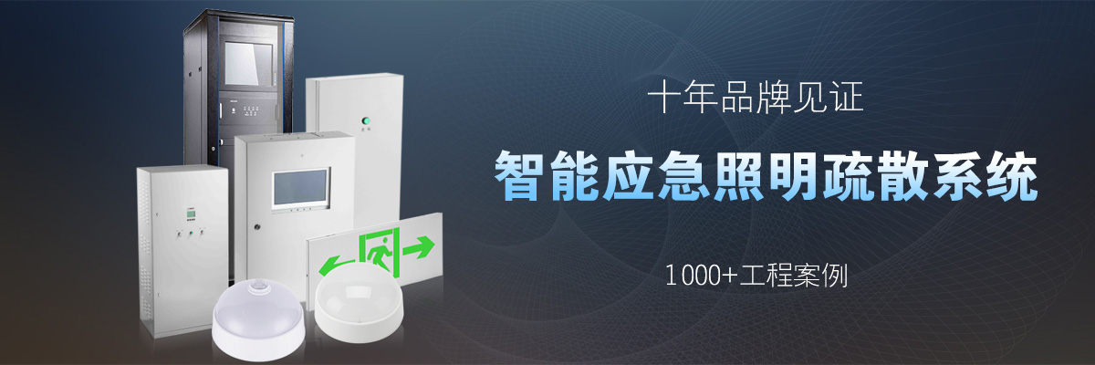 集中控制ZD-D-0.25KVA、ZD-D-0.3KVA